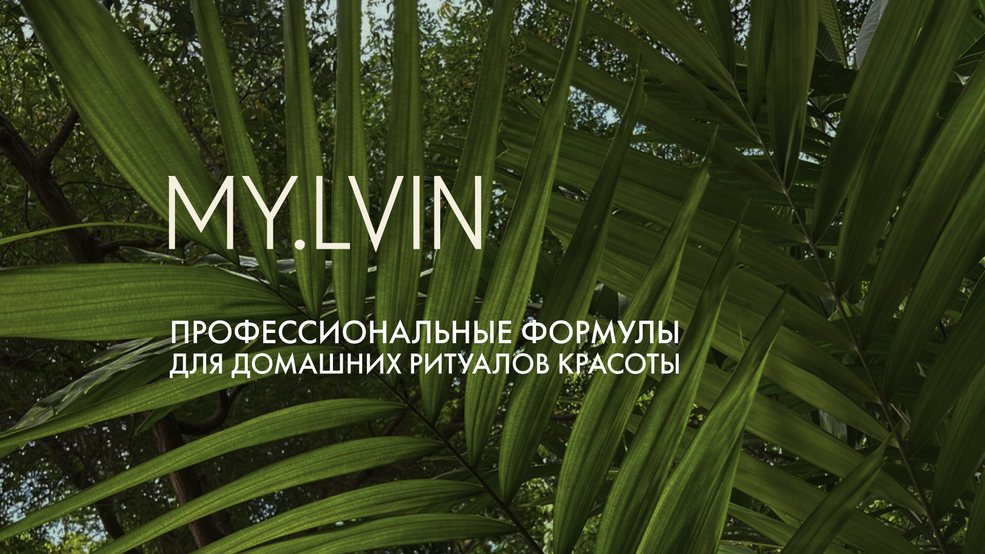 MY.LVIN banner